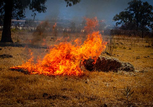 The unprotected Hay burns easily whilst the area sprayed with FIREBLOCK Agri doesn’t burn.